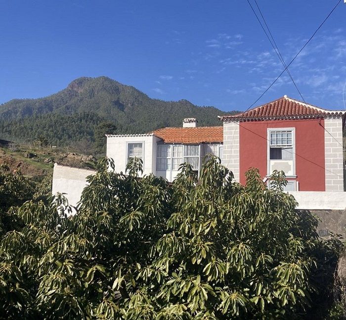 Городской дом 2341