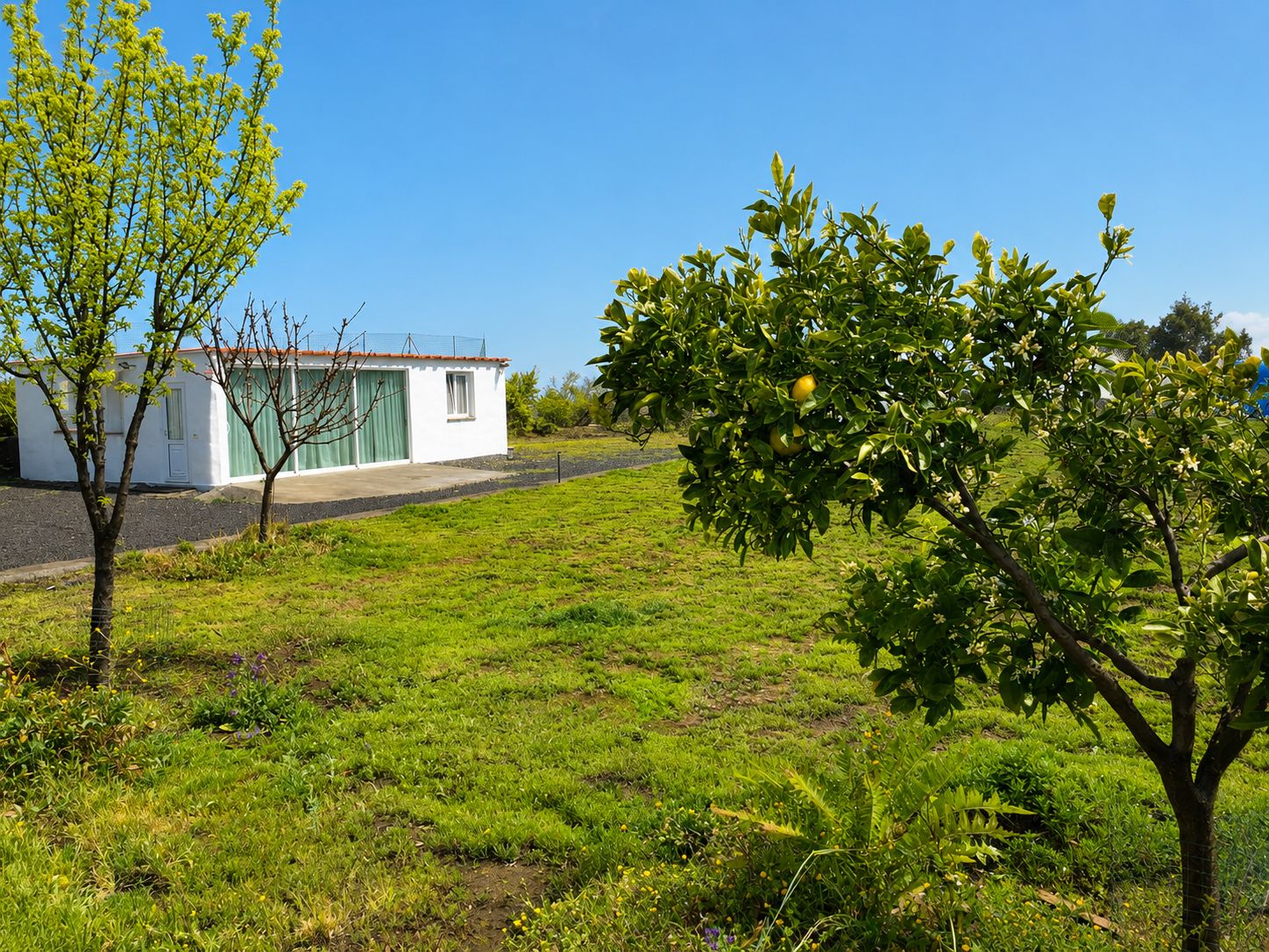 Landhaus 4452