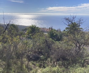 Участок под застройку 2931 La Palma