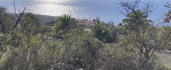 Bauland 2931 La Palma